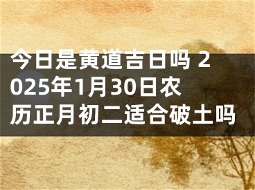 今日是黄道吉日吗 2025年1月30日农历正月初二适合破土吗