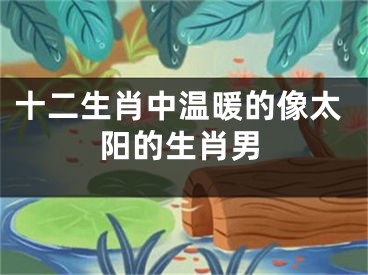 十二生肖中温暖的像太阳的生肖男