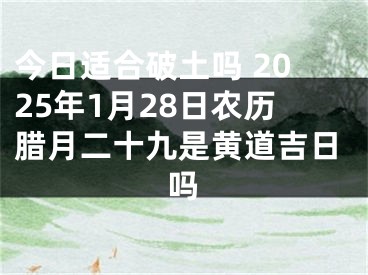 今日适合破土吗 2025年1月28日农历腊月二十九是黄道吉日吗