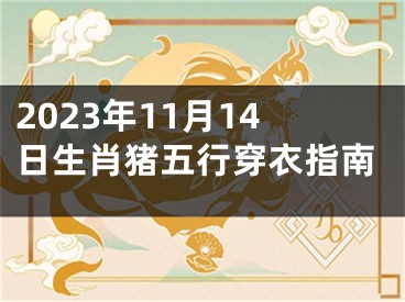 2023年11月14日生肖猪五行穿衣指南