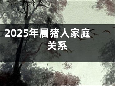 2025年属猪人家庭关系