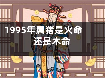1995年属猪是火命还是木命