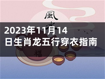 2023年11月14日生肖龙五行穿衣指南