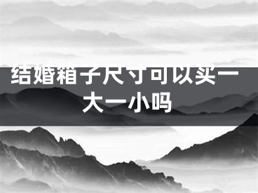 结婚箱子尺寸可以买一大一小吗