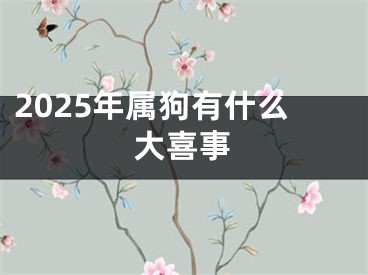 2025年属狗有什么大喜事