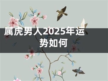 属虎男人2025年运势如何