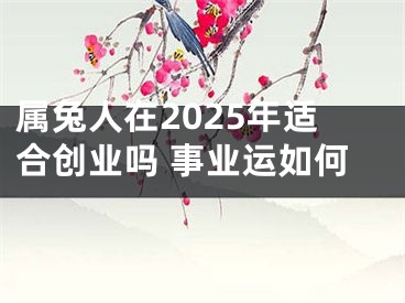 属兔人在2025年适合创业吗 事业运如何
