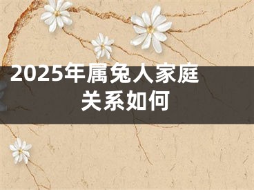 2025年属兔人家庭关系如何