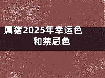 属猪2025年幸运色和禁忌色