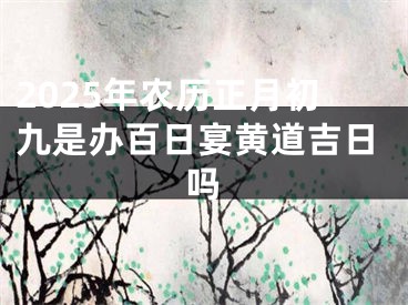 2025年农历正月初九是办百日宴黄道吉日吗