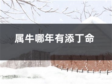 属牛哪年有添丁命
