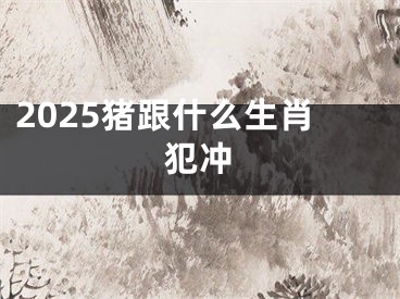 2025猪跟什么生肖犯冲