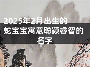 2025年2月出生的蛇宝宝寓意聪颖睿智的名字