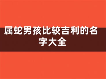 属蛇男孩比较吉利的名字大全