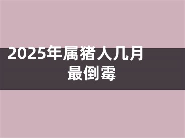 2025年属猪人几月最倒霉