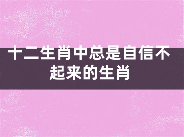 十二生肖中总是自信不起来的生肖