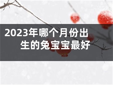 2023年哪个月份出生的兔宝宝最好