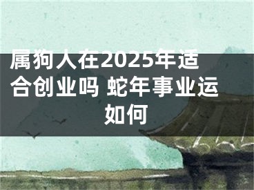 属狗人在2025年适合创业吗 蛇年事业运如何