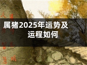 属猪2025年运势及运程如何