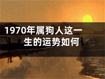 1970年属狗人这一生的运势如何