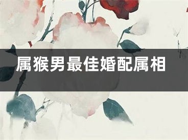 属猴男最佳婚配属相