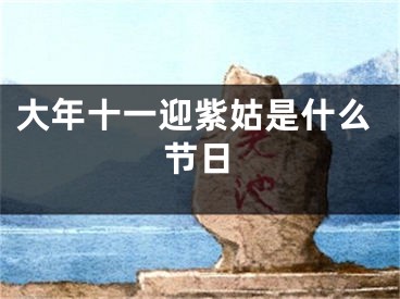大年十一迎紫姑是什么节日