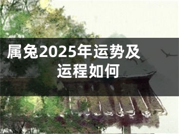 属兔2025年运势及运程如何