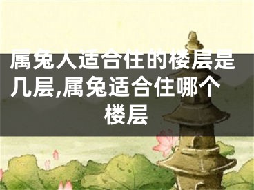 属兔人适合住的楼层是几层,属兔适合住哪个楼层