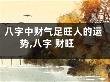 八字中财气足旺人的运势,八字 财旺