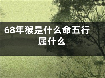 68年猴是什么命五行属什么