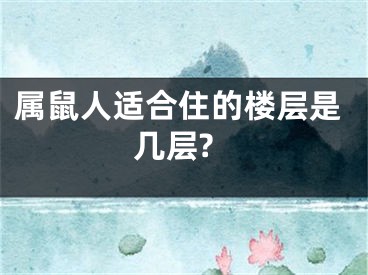 属鼠人适合住的楼层是几层?
