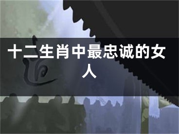 十二生肖中最忠诚的女人