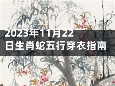 2023年11月22日生肖蛇五行穿衣指南