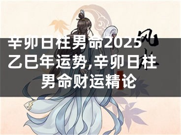 辛卯日柱男命2025乙巳年运势,辛卯日柱男命财运精论