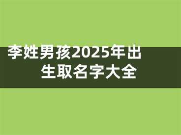 李姓男孩2025年出生取名字大全