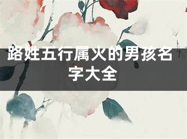路姓五行属火的男孩名字大全