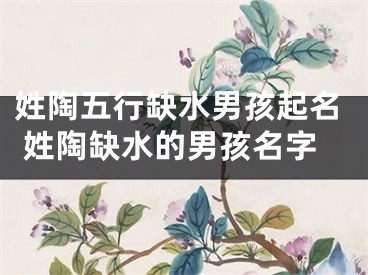 姓陶五行缺水男孩起名 姓陶缺水的男孩名字