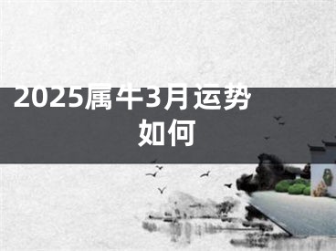 2025属牛3月运势如何