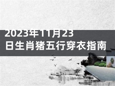 2023年11月23日生肖猪五行穿衣指南