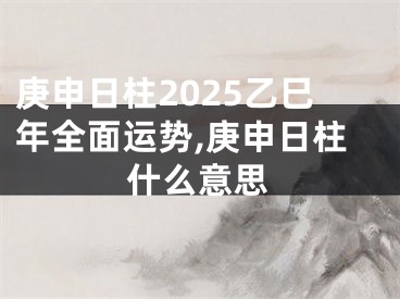 庚申日柱2025乙巳年全面运势,庚申日柱什么意思