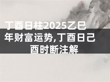 丁酉日柱2025乙巳年财富运势,丁酉日己酉时断注解