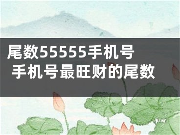 尾数55555手机号 手机号最旺财的尾数