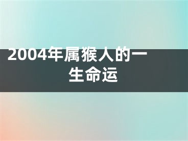2004年属猴人的一生命运