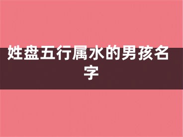 姓盘五行属水的男孩名字