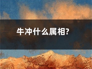 牛冲什么属相?