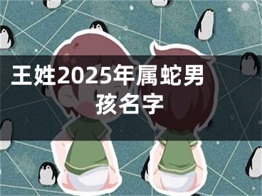 王姓2025年属蛇男孩名字
