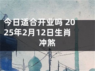 今日适合开业吗 2025年2月12日生肖冲煞