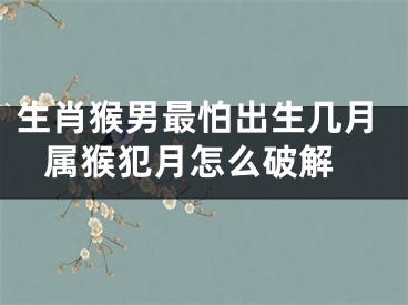 生肖猴男最怕出生几月 属猴犯月怎么破解