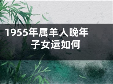 1955年属羊人晚年子女运如何