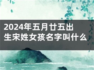 2024年五月廿五出生宋姓女孩名字叫什么
